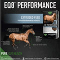 Stolzfus Buckeye Nutrition EQ8 Gut Health Horse Feed 50 lb bag showing textured horse feed in a bag.