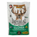 Deer standing in a lush field of Imperial Whitetail® Clover Seed, showcasing healthy, green clover plants for wildlife food.
