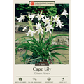 Cape Lily plant packaging with Netherland Bulb Company branding