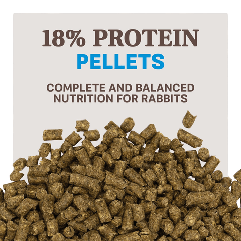 Blue Seal Home Fresh® Top Hutch Rabbit Feed in a 50 lb bag, small animal supplies for healthy rabbit nutrition.