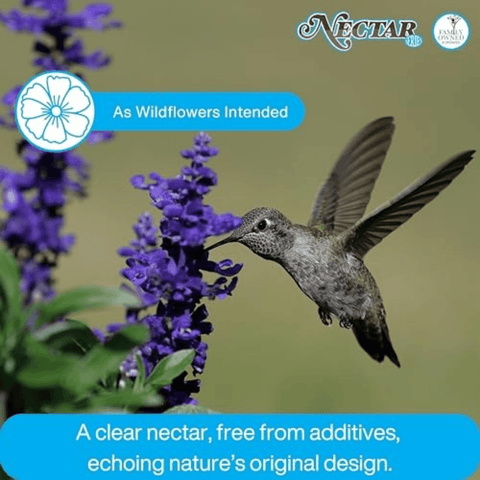 A hummingbird hovering near purple wildflowers on a blurred green background, with the Nectar brand logo and text reading 'As Wildflowers Intended' and 'A clear nectar, free from additives, echoing nature's original design.'.