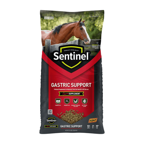 Blue Seal Sentinel® Care Omegatin® horse feed supplement in a 40 lb bag, featuring a balanced formula for horse health.