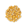 Wildlife Whole Corn Shelled by The Mill, 50 lb bag of natural corn for wildlife food feeding purposes