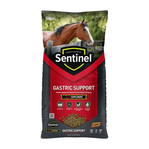 Blue Seal Sentinel Care Gastric Support horse supplement in a 35 lb bag, designed to promote digestive health for horses.
