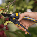 Woodland pruning shears being used by a hand to trim red berries from a bush, with a green and blurred outdoor background.