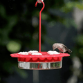 Red hummingbird feeder with a bird perched on it against a blurred green background