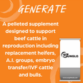 Graphic with information on Sunglow Generate pelleted cattle supplement to support beef cattle in reproduction including replacement heifers, A.I.groups, embryo transfer/IVF cattle and bulls.