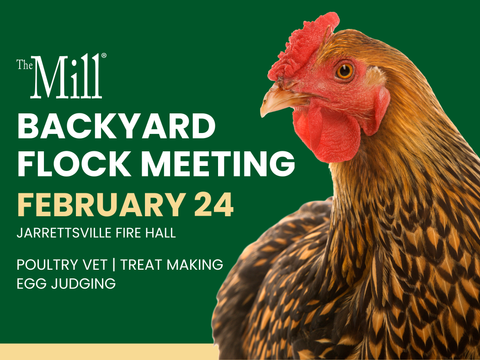 Join Our Backyard Flock Meeting