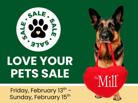 A Weekend for Your Best Friend.