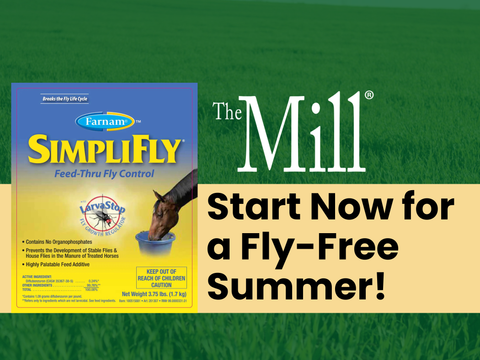 Stop Flies Before They Start.