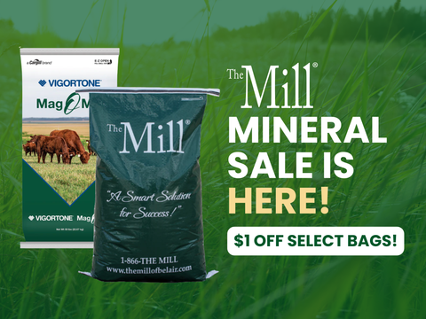 Promotional image of 'The Mill' mineral bags with a green field background