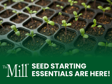 Seedling trays with young plants and 'The Mill' branding on a green background