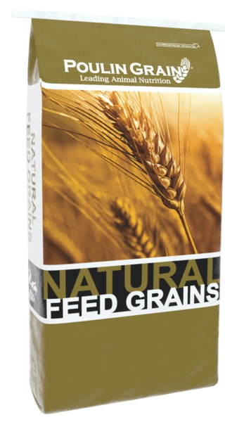 Poulin Grain Whole Oats