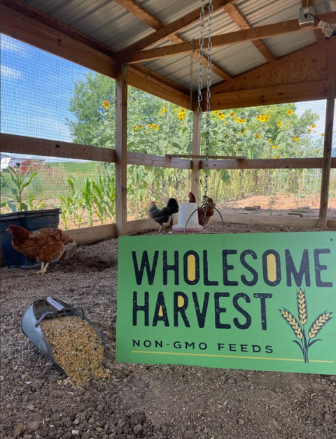 Wholesome Harvest Chick Starter Feed – Non-GMO - 10 lb