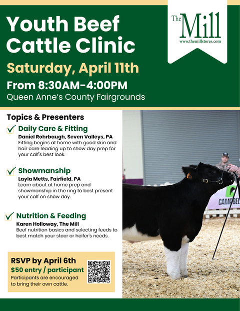 Youth Beef Cattle Clinic event hosted by The Mill, featuring young participants learning cattle care and management skills.