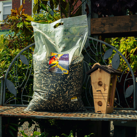 A large clear plastic bag filled with birdseed sits on a metal garden bench next to a wooden birdhouse, with garden foliage and a house in the background.