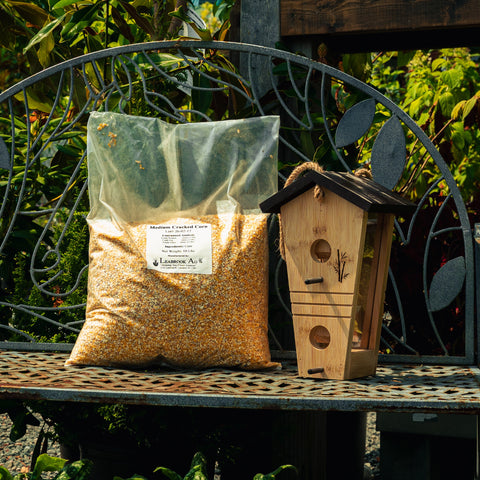 A large clear plastic bag filled with yellow-brown corn kernels sits on a metal garden bench beside a wooden birdhouse, with leafy green plants in the background.