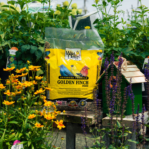 A bag of Wild Delight Golden Finch Food placed on a wooden table in a garden setting, surrounded by green foliage, yellow flowers, and a small birdhouse.
