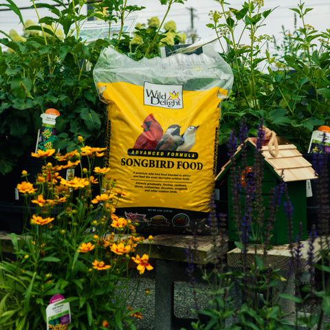 A bag of Wild Delight Advanced Formula Songbird Food placed on a bench in a garden center, surrounded by green plants, yellow flowers, and a small wooden birdhouse.