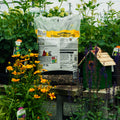 A bag of Wild Delight Songbird Food placed on a wooden table in a garden nursery, surrounded by green foliage, yellow flowers, and a small green birdhouse.
