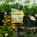 A bag of Wild Delight Golden Finch Food displayed on a table in a garden center, surrounded by green foliage, yellow flowers, and a small birdhouse.