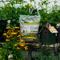 A bag of Wild Delight Special Finch Food bird seed stands on a wooden table in a garden setting, surrounded by green plants, yellow and purple flowers.