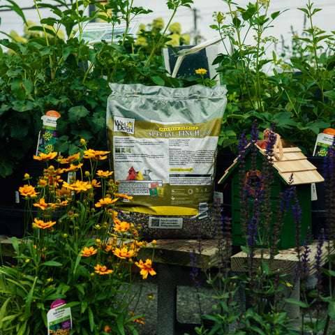 A bag of Wild Delight Special Finch Food bird seed stands on a wooden table in a garden setting, surrounded by green plants, yellow and purple flowers.