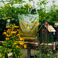 A bag of Wild Delight Special Finch Food bird seed stands on a wooden table in a garden setting, surrounded by green plants, yellow and purple flowers.