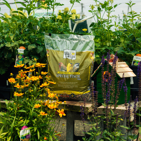A bag of Wild Delight Special Finch Food bird seed stands on a wooden table in a garden setting, surrounded by green plants, yellow and purple flowers.