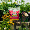 A bag of Wild Delight Fruit 'N Berry bird seed stands on a wooden table in a garden nursery, surrounded by green foliage, yellow flowers, and a small green birdhouse.