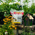 A bag of Fruit & Berry bird seed placed on a wooden table in a garden center, surrounded by green plants, yellow flowers, and a small green birdhouse.