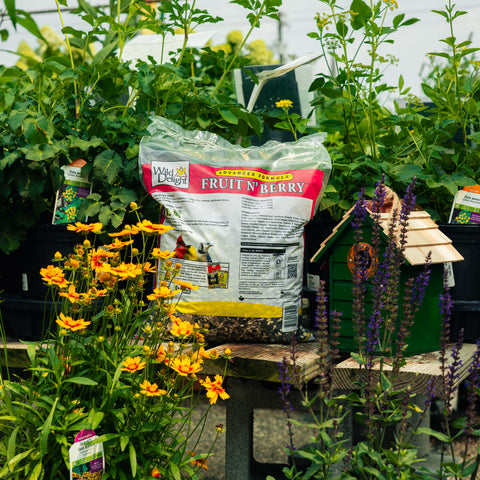 A bag of Fruit & Berry bird seed placed on a wooden table in a garden center, surrounded by green plants, yellow flowers, and a small green birdhouse.