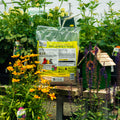 A bag of Wild Delight Deck, Porch & Patio bird seed surrounded by a bird house and garden