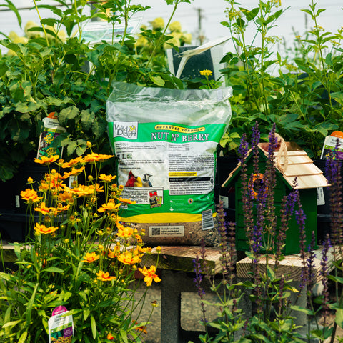 A bag of Wild Delight Nut 'N Berry composted compost in a garden setting, surrounded by green plants, yellow flowers, and a small wooden birdhouse.
