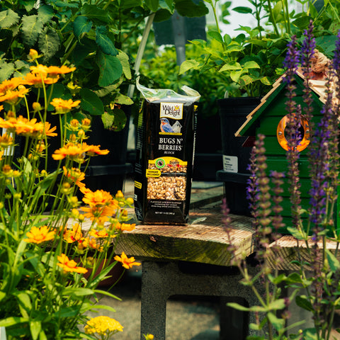 A bag of Wild Delight 'Bugs 'N' Berries' suet block placed on a rustic wooden table in a garden setting, surrounded by yellow flowers, green foliage, and a green birdhouse.