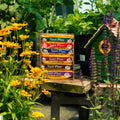 A 6-pack of Suet Plus blocks displayed on a rustic wooden table in a garden setting, surrounded by yellow flowers, green foliage, and a small green birdhouse.