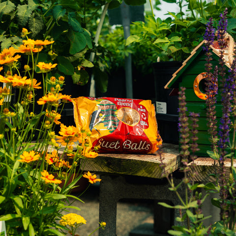 A bag of Peanut Blend Suet Balls placed on a wooden table in a garden setting, surrounded by yellow flowers, green foliage, and a small green birdhouse.