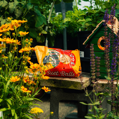 A bag of Hot Pepper Suet Balls placed on a wooden table in a garden setting, surrounded by yellow flowers, green foliage, and a small green birdhouse.