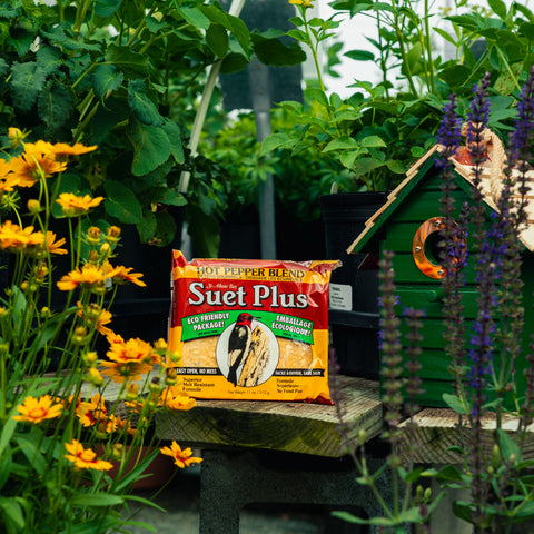 A bag of Suet Plus Hot Pepper Blend natural suet for birds is displayed on a wooden table in a garden setting, surrounded by yellow flowers, green foliage, and a small green birdhouse.