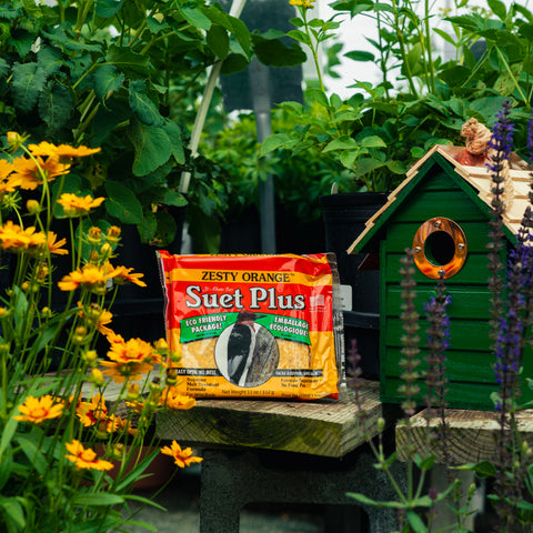 A bag of Zesty Orange Suet Plus sits on a wooden table in a garden setting, with yellow flowers on the left, a green birdhouse on the right, and green foliage in the background.