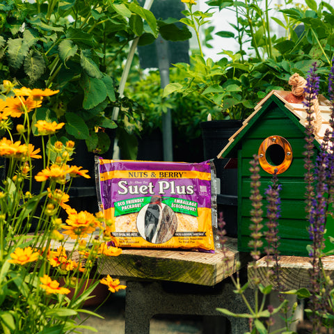 A package of Suet Plus nuts and berry sits on a wooden table in a garden setting, styled with a green birdhouse and plants in the background.