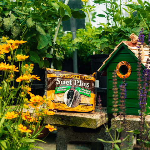 A bag of Woodpecker Blend Suet Plus bird food sits on a wooden table in a garden setting, next to a green birdhouse with flowers in the foreground.