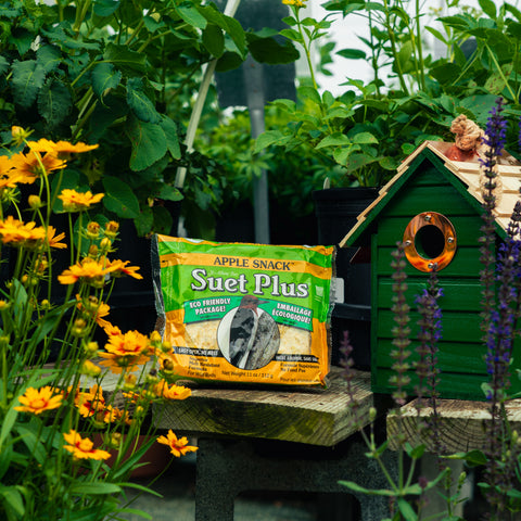 A bag of Suet Plus apple snack blocks placed on a wooden table in a garden setting, with yellow flowers on the left and a green birdhouse on the right.