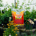 A bag of Wild Delight Sizzle N' Heat bird seed is displayed on a wooden table in a garden center, surrounded by potted plants, flowers, and a small green birdhouse.