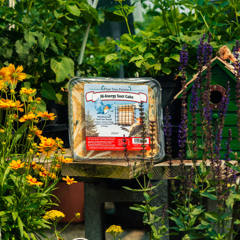 Pine Tree Farms Hi-Energy Suet Cake sits on a wooden table in a garden setting with flowers, green plants, and a small birdhouse.
