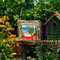 A package of Pine Tree Farms Woodpecker Cake bird seed displayed on a wooden table in a garden setting with flowers and a birdhouse.