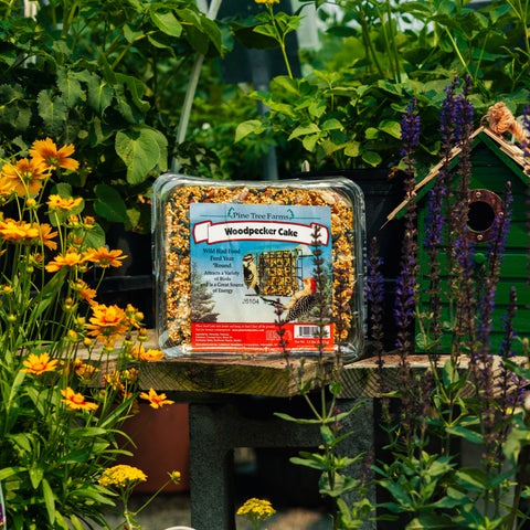 A package of Pine Tree Farms Woodpecker Cake bird seed displayed on a wooden table in a garden setting with flowers and a birdhouse.