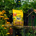 A bag of Bluebird Nuggest birdseed sits on a wooden table in a garden setting, surrounded by flowers, green foliage, and a small green birdhouse.