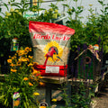 A bag of Birds Luv' Em seed mix displayed on a wooden table in a garden setting, surrounded by plants, flowers, and a birdhouse.