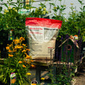 A bag of Birds Luv' Em seed mix displayed on a wooden table in a garden setting, surrounded by plants, flowers, and a birdhouse.